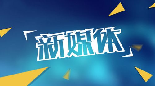 中享科技 軟件開發與網絡推廣運營的雙輪驅動